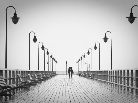 Fotka od Arek Socha z Pixabay
